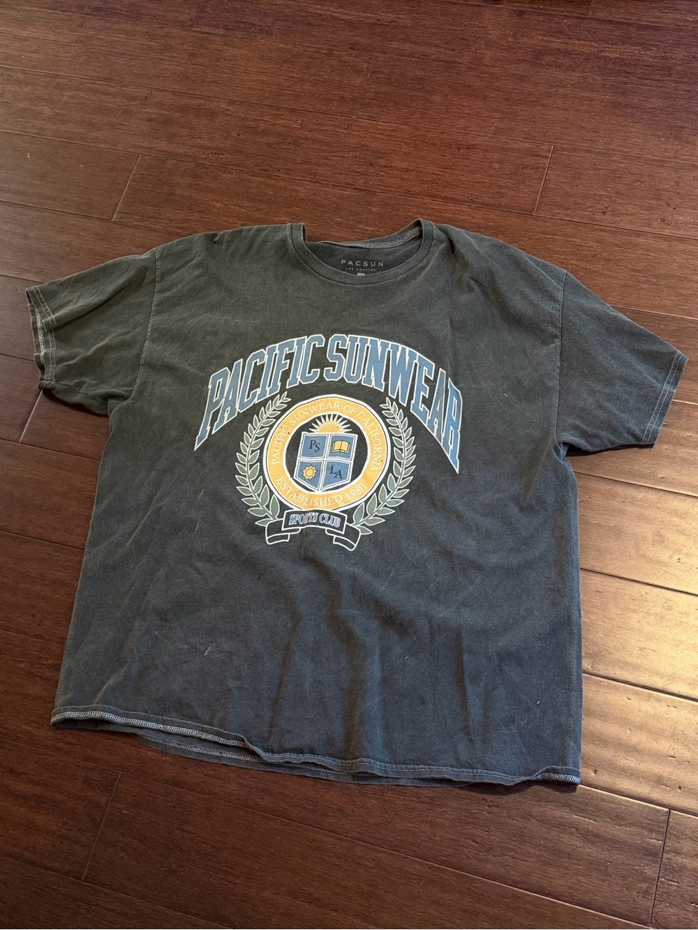 PacSun Charcoal Gray Graphic Short Sleeve Tee